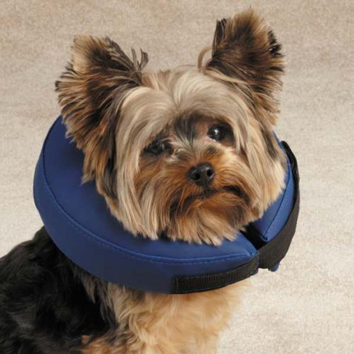Total Pet Health Inflatable Recovery Collar XL