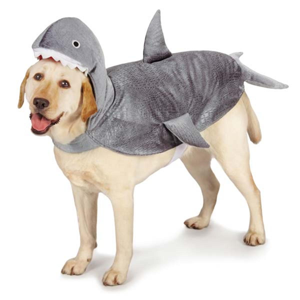Casual Canine Shark Dog Costume