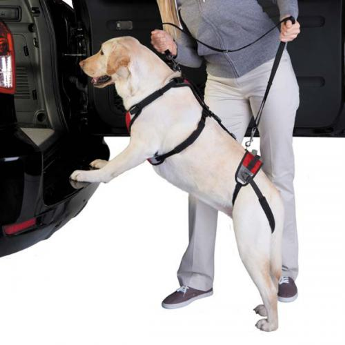 Total Pet Health Lift & Go Lift Harness
