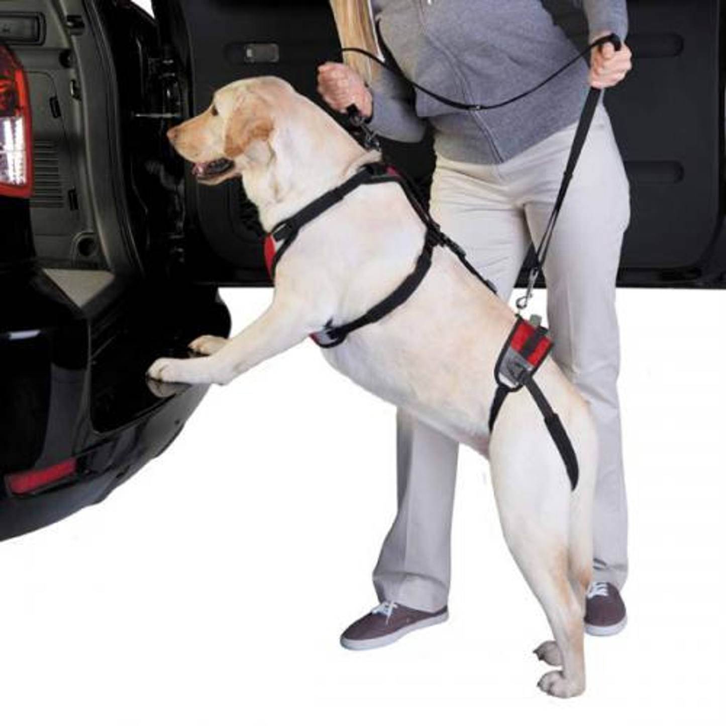 Total Pet Health Lift & Go Lift Harness