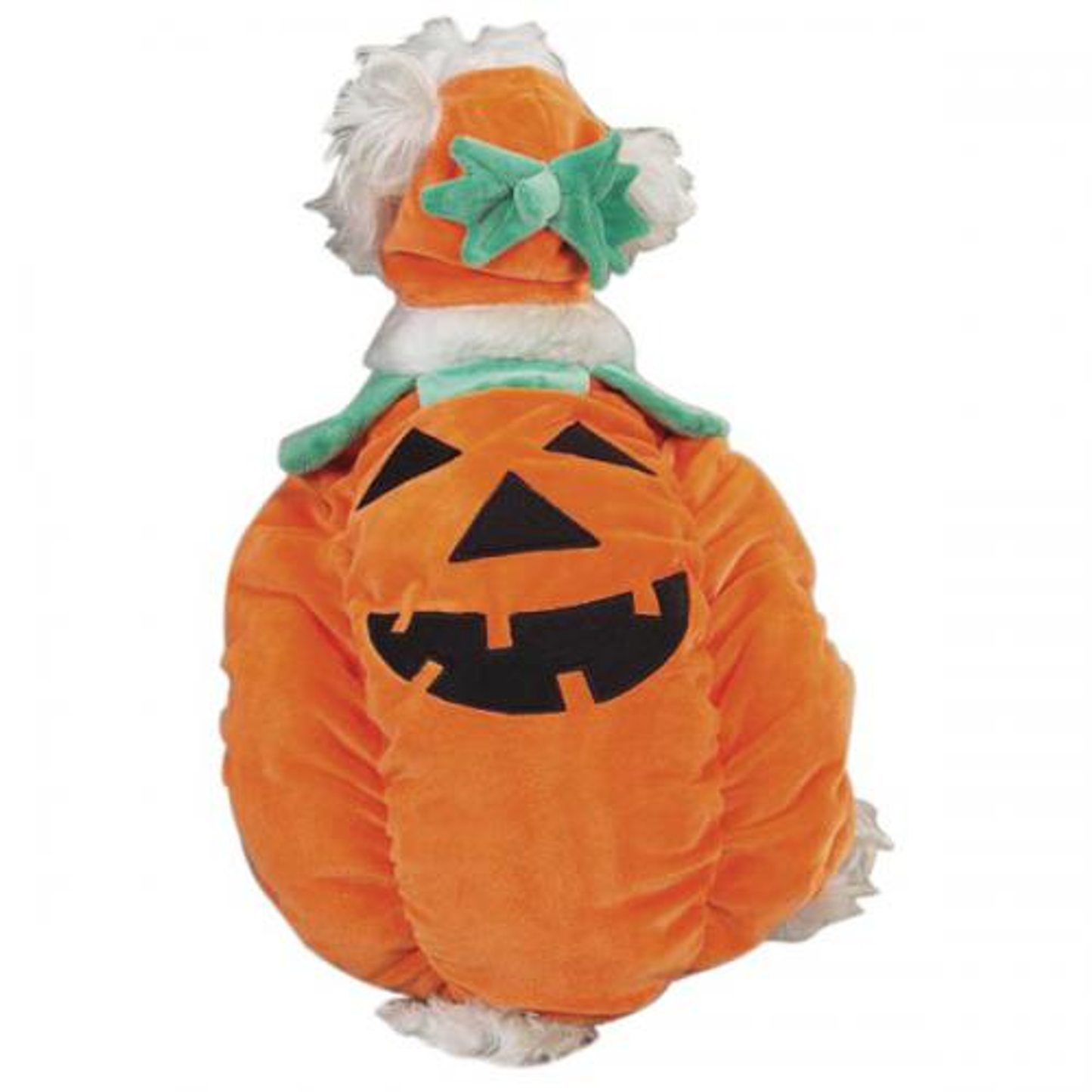 Zack & Zoey Pumpkin Pooch Dog Costume