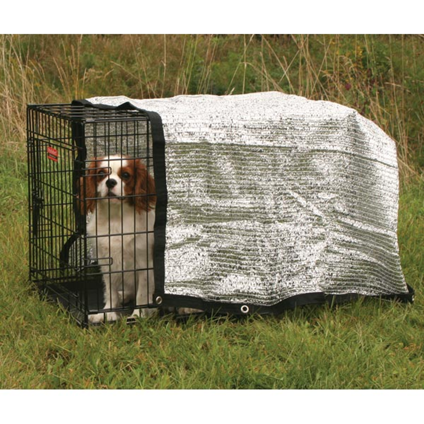 ProSelect Kennel Solar Canopy, 6 x 6 ft