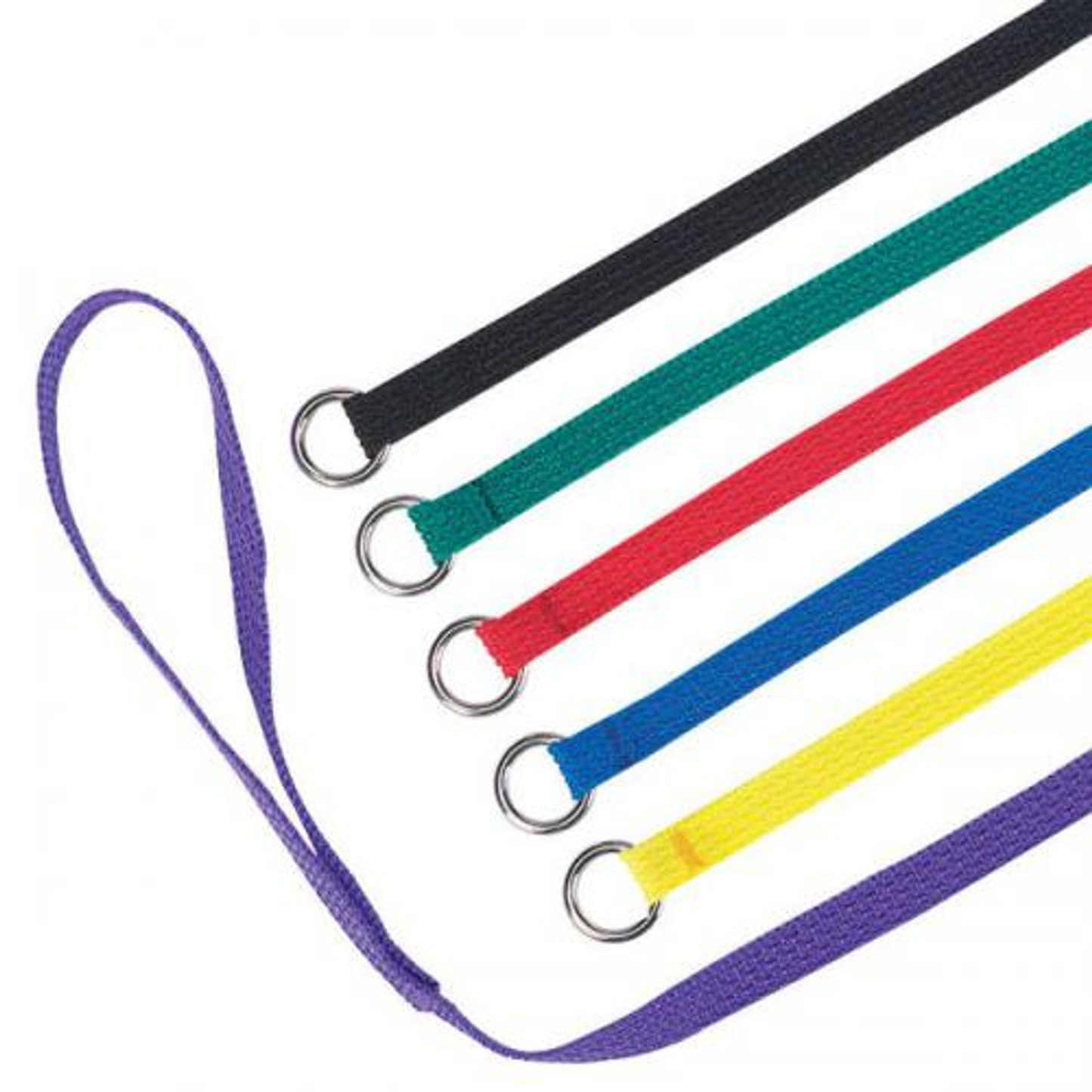 Guardian Gear Kennel Leads, 6-Pack