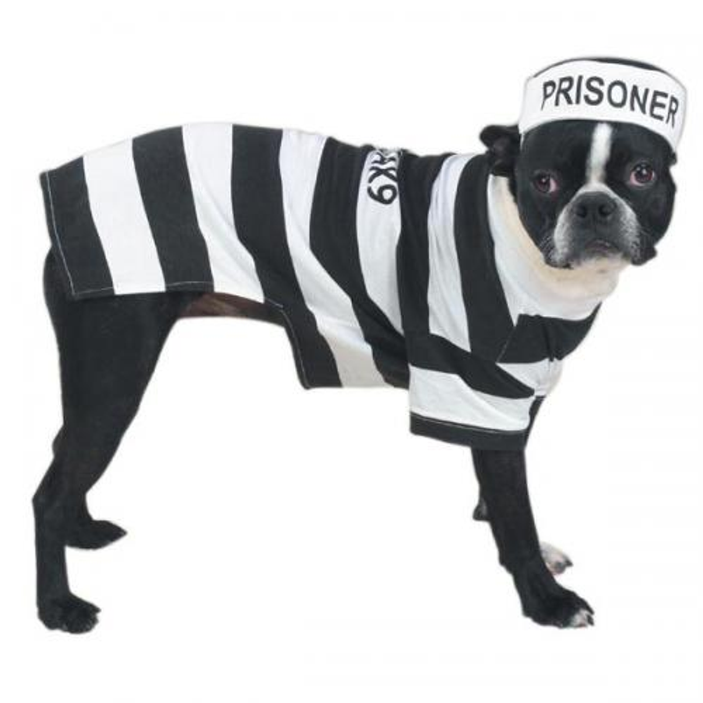 Casual Canine Prison Pooch Dog Costume