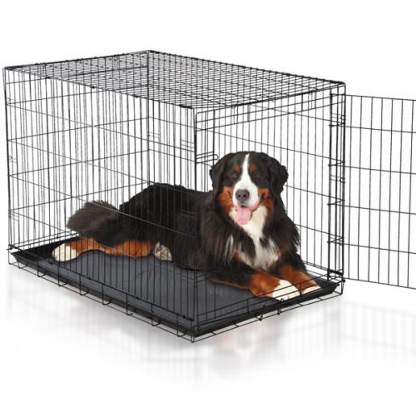 ProSelect Easy Crate Folding Wire Dog Crate (Black)