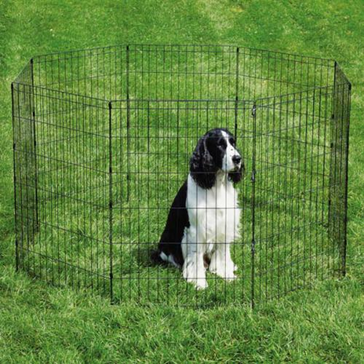 ProSelect Sure Exercise Pen for Dogs (Black)