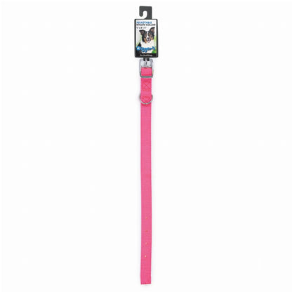 DGR 5/8in Nylon Collar 10in Blue