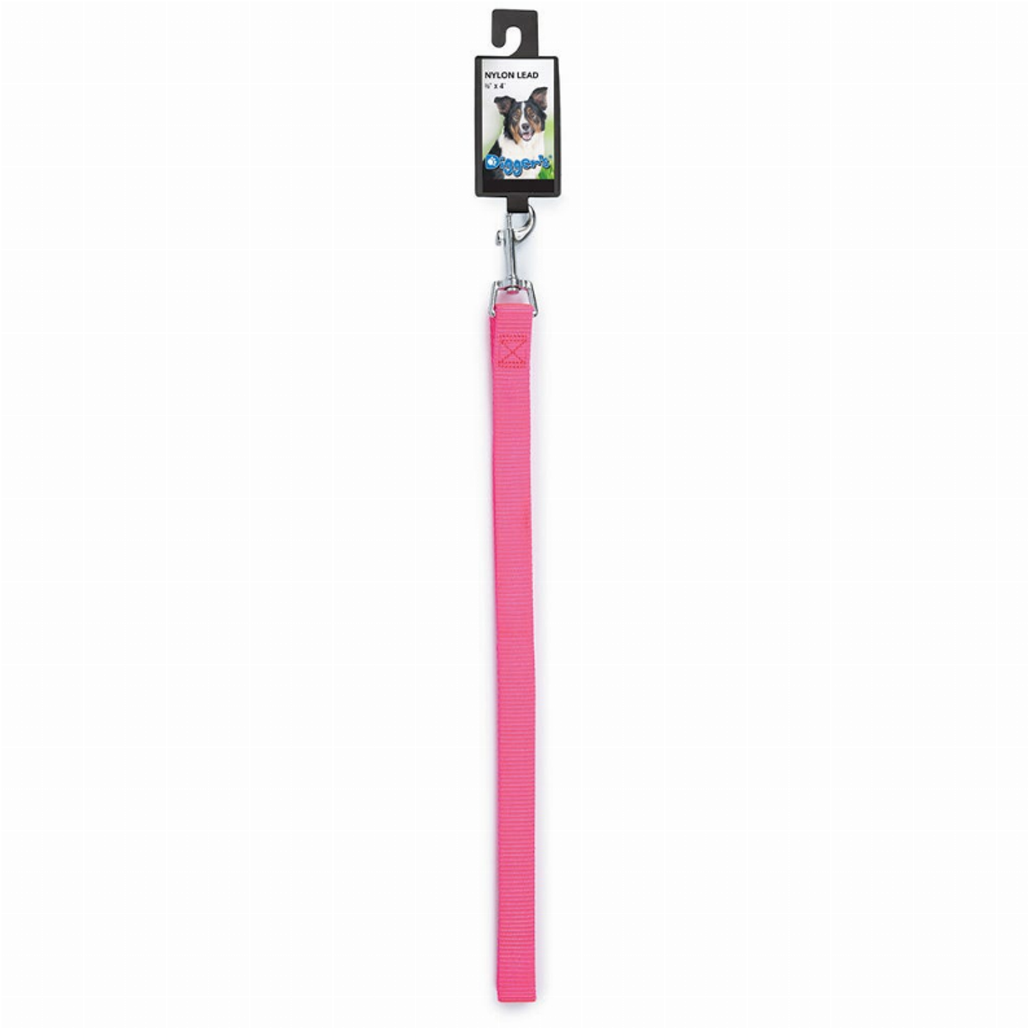 Digger's 3/4 in Nylon Dog Leash, 48 in