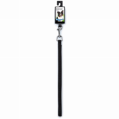 Digger's 1/2 in Nylon Dog Leash, 48 in