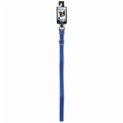 DGR 5/8in Nylon Collar 10in Blue