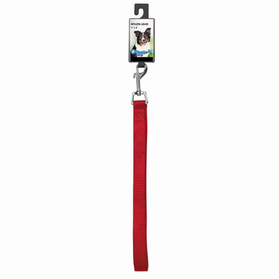Digger's 3/4 in Nylon Dog Leash, 48 in (Assorted)
