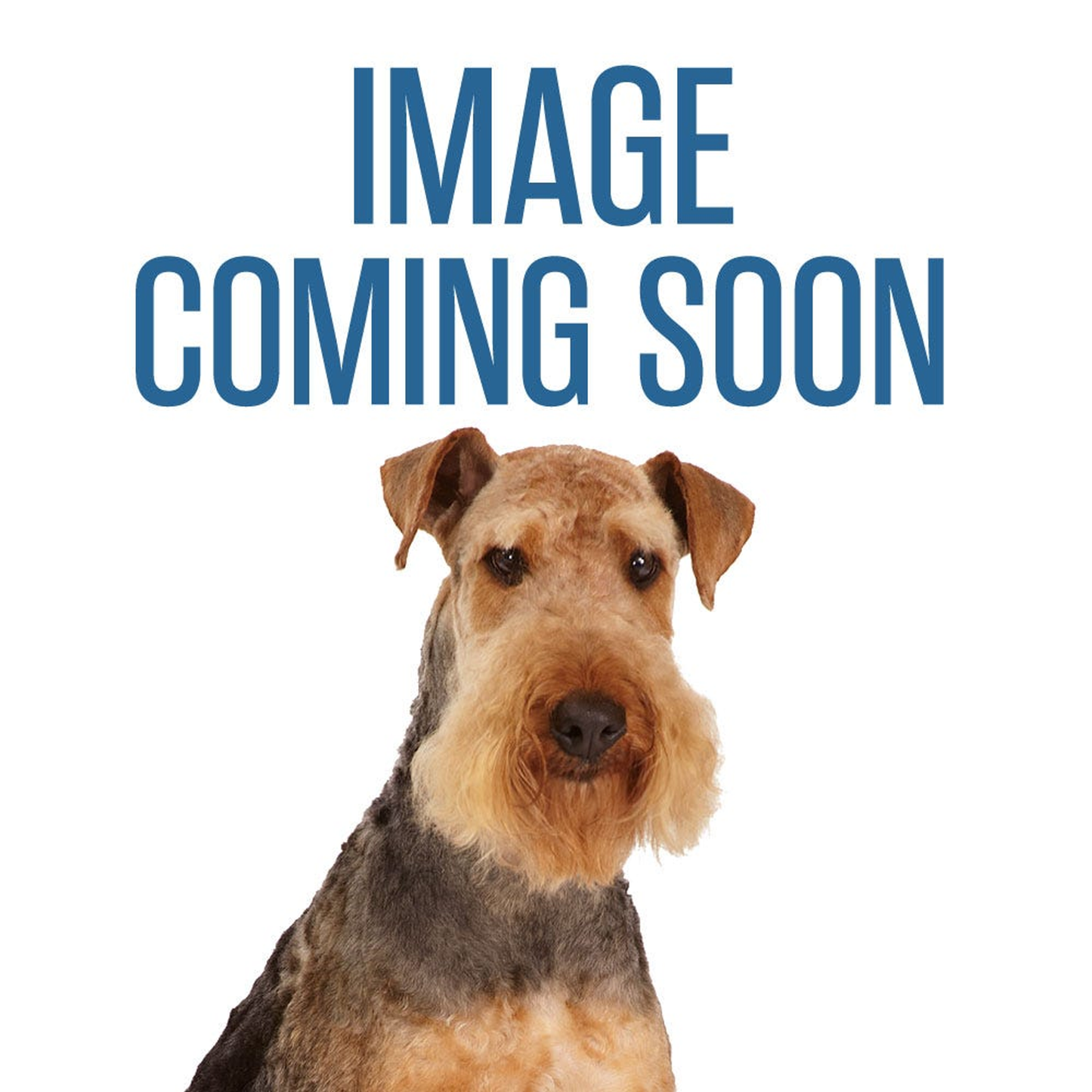 Multipet Lamb Chop Plush Dog Toy