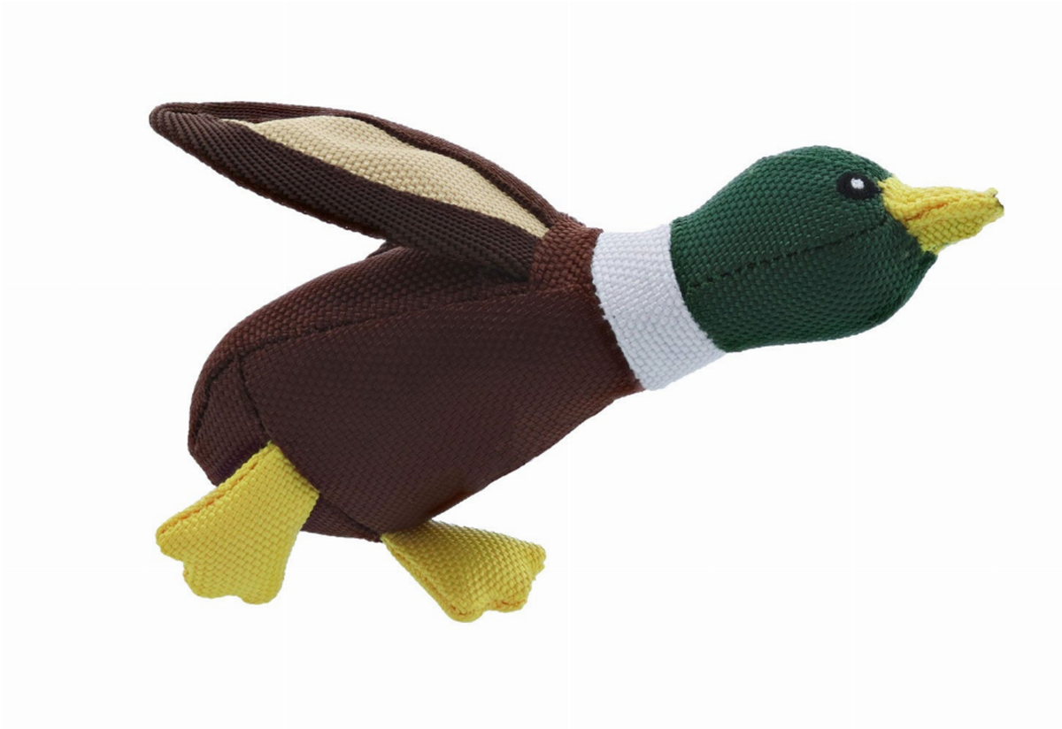 Play 365 Ballistic Duck Dog Toy Green