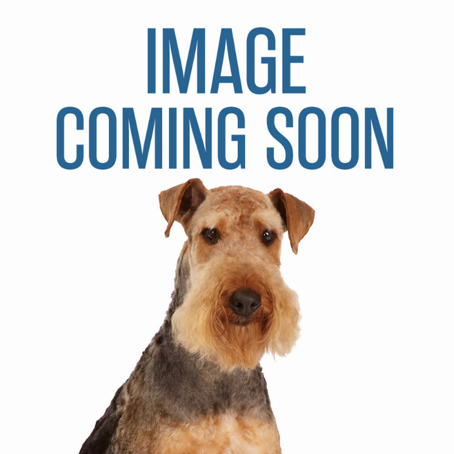 Chomper Ultra Fat Headz Large Dog Toy (Assorted)