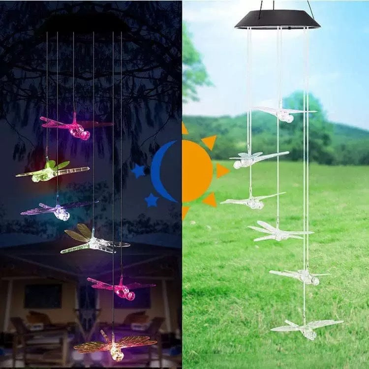 Solar Powered Outdoor Decorative Light