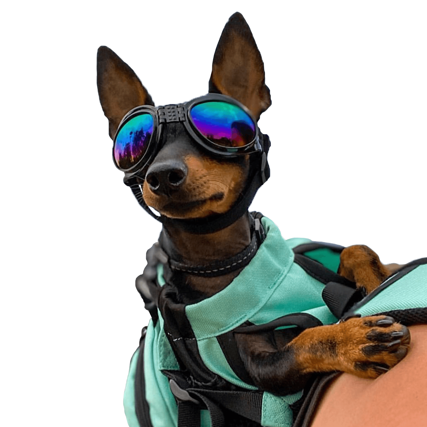 K9 Sport Sack K9 Sport Shades Dog Goggles