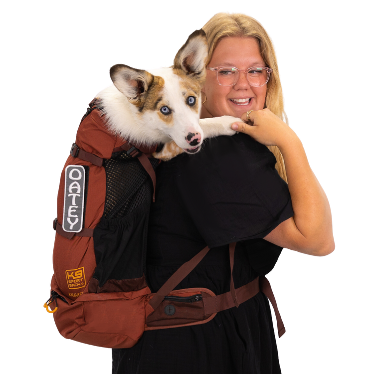 K9 Sport Sack Knavigate - Dune