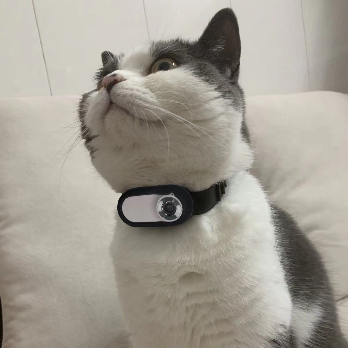Pet Camera Recorder