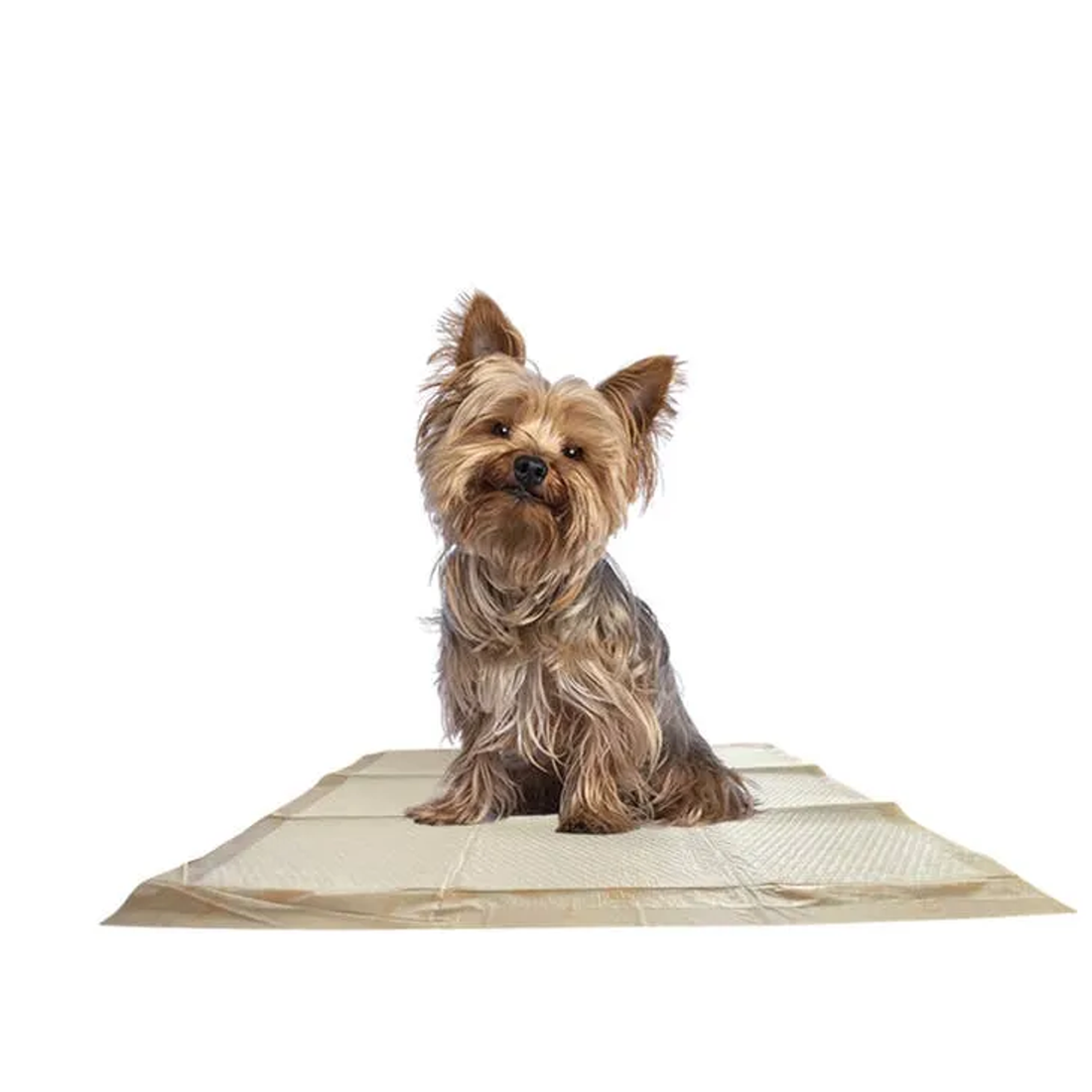 WizSmart Essentials Scented Dog Training Pads - Large 50-Count