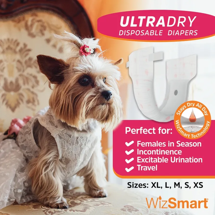 WizSmart UltraDry Disposable Dog Diapers