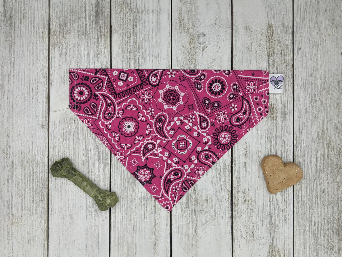 Over-The-Collar Dog Bandana