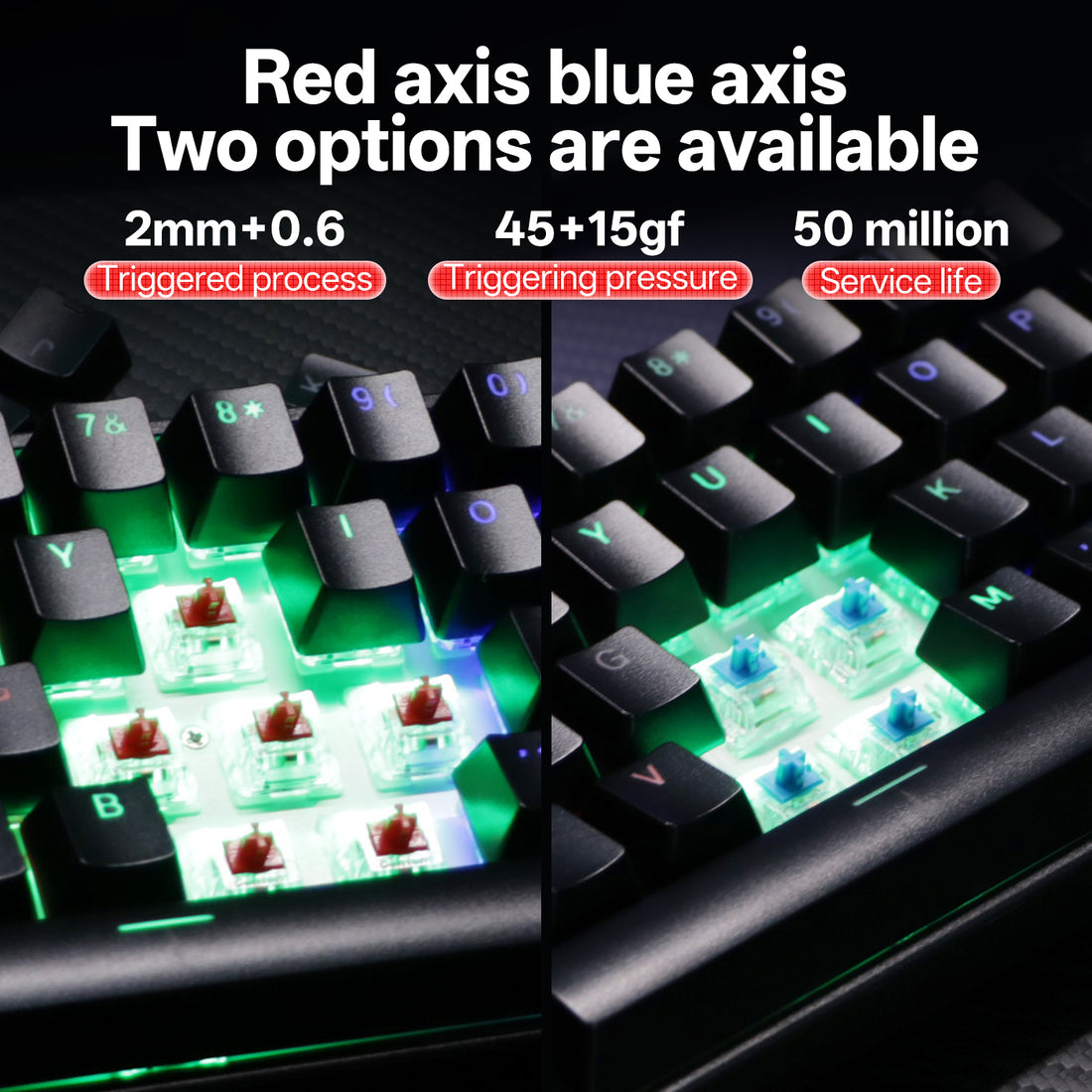 Close-up of red and blue switch options with actuation specs