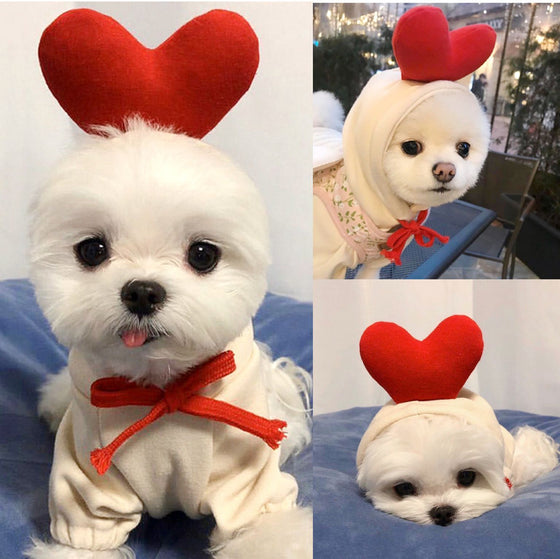 White dog wearing a cream hoodie with a red heart on the hood