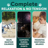 Hemp Calming Chews for Dogs Anxiety and Joint Support