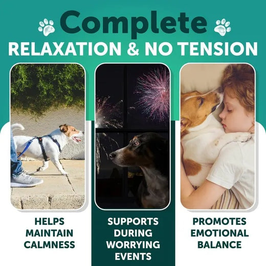 Hemp Calming Chews for Dogs Anxiety and Joint Support