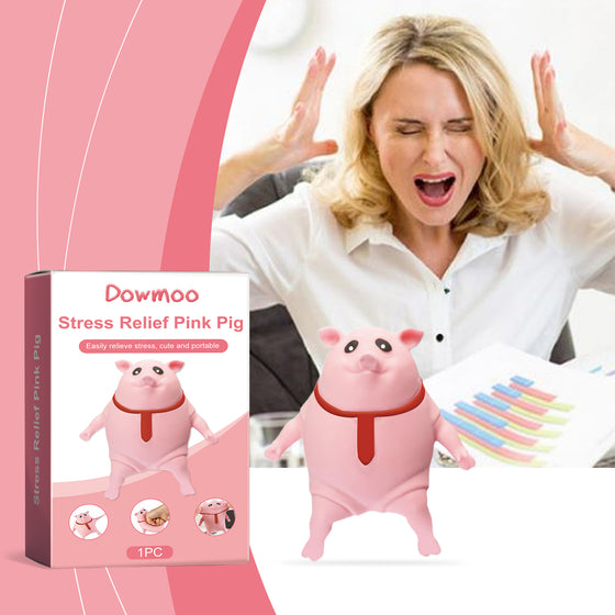 Stressed woman with the pink pig squeeze toy and box