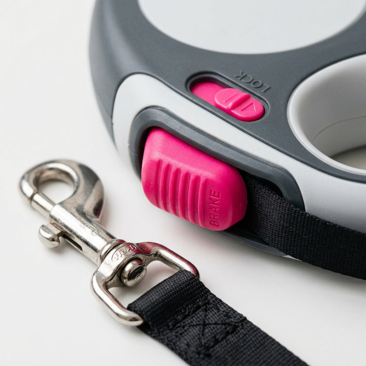 Retractable leash cord extended to 10 feet