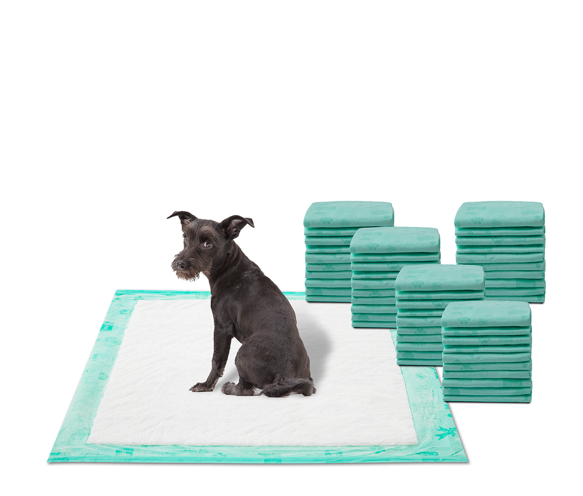 WizSmart All Day Dry Super Dog Pads, 50 ct (3-Pack)