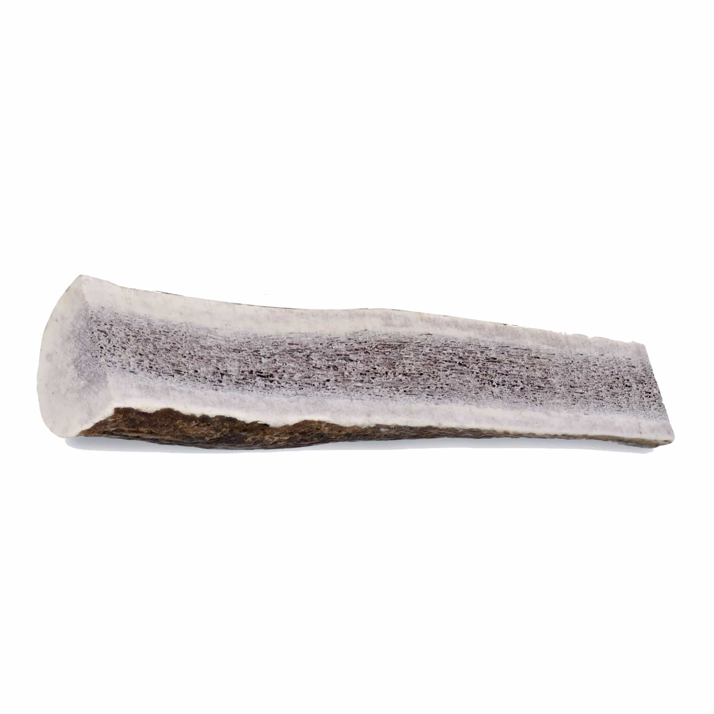 Paws & Co Split Antler Dog Chew
