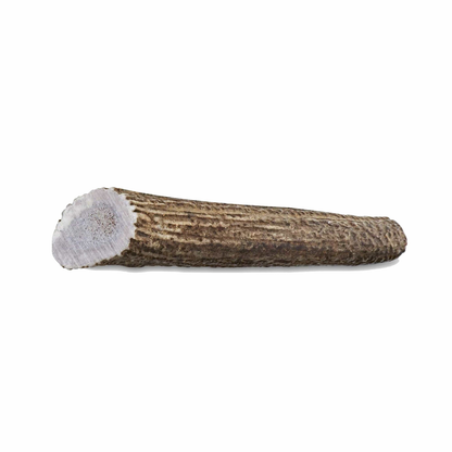 Paws & Co Whole Antler Dog Chew