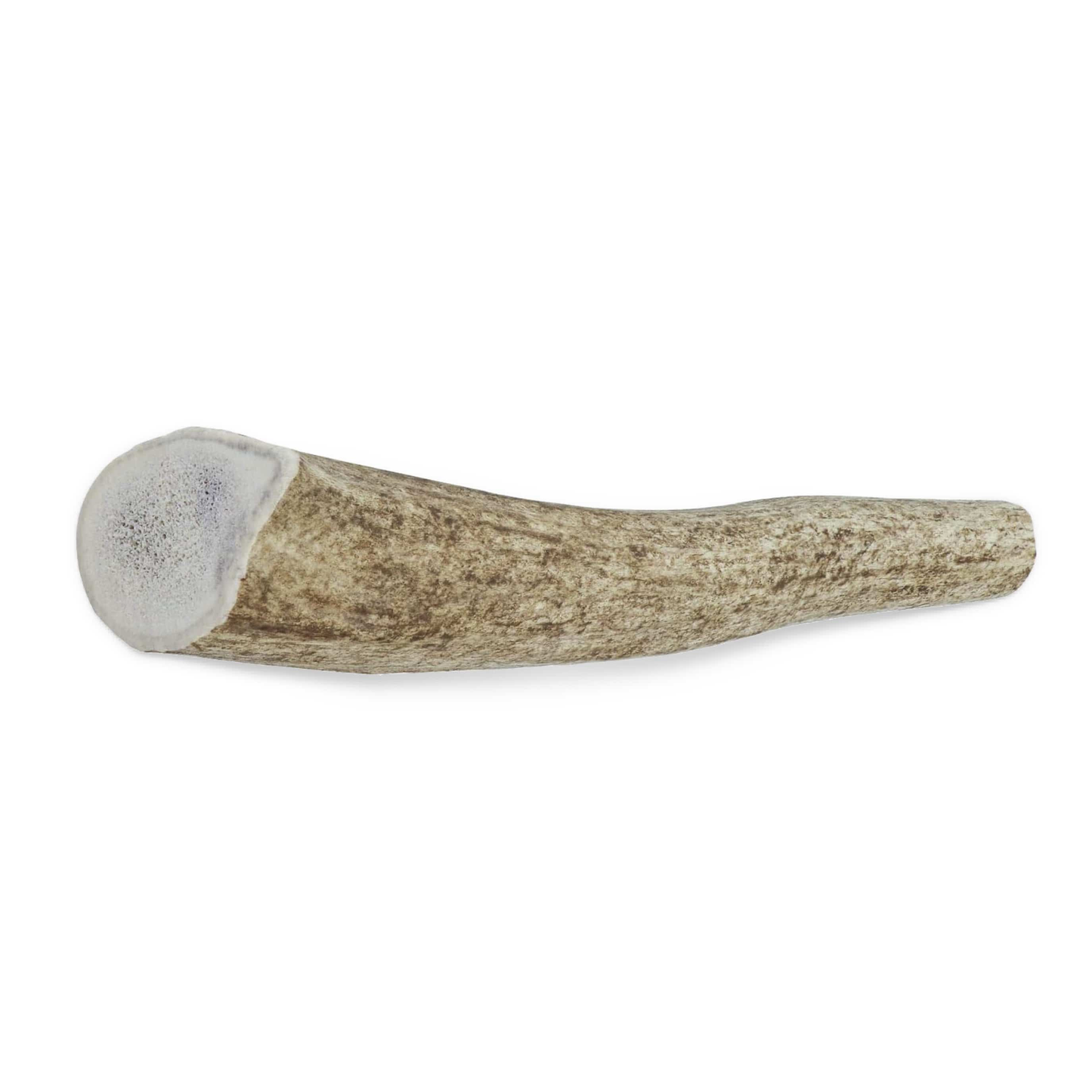Paws & Co Whole Antler Dog Chew