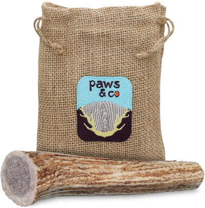 Paws & Co Whole Antler Dog Chew