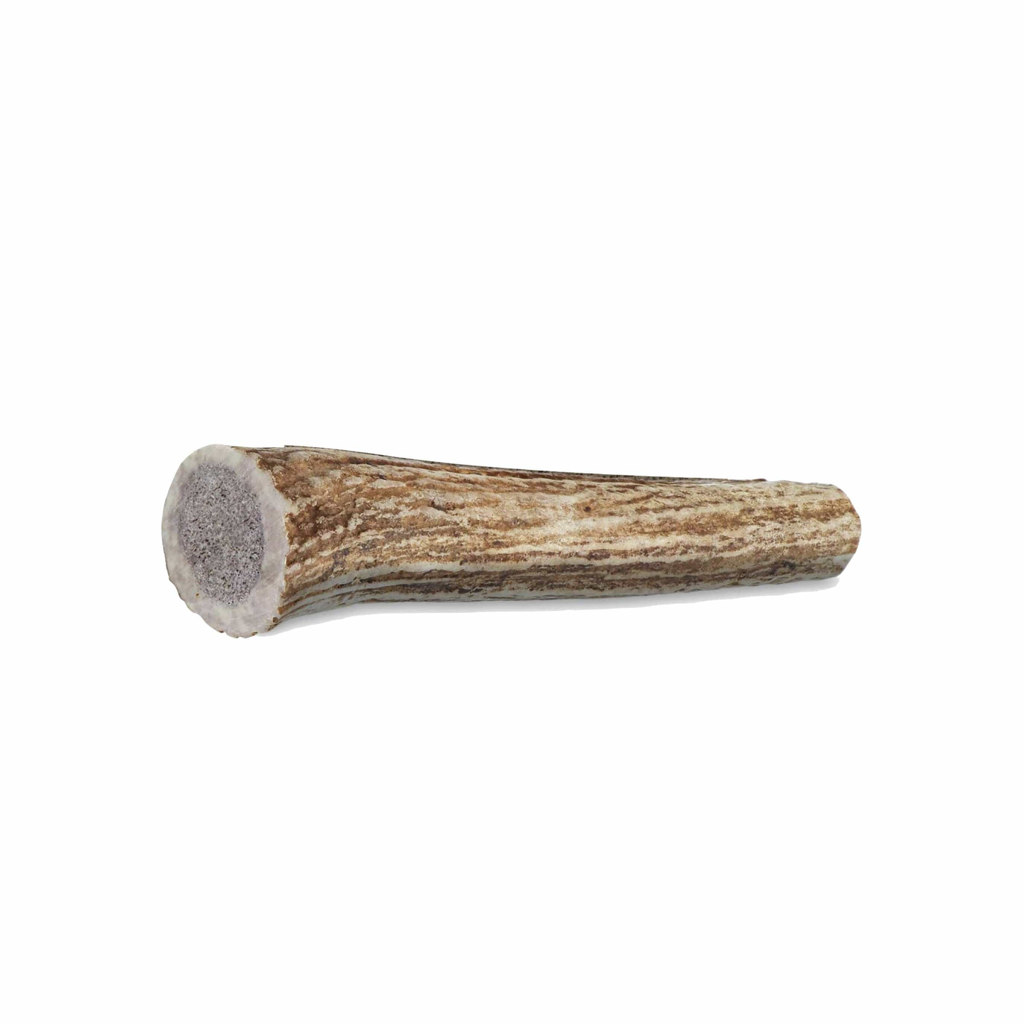 Paws & Co Whole Antler Dog Chew