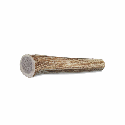 Paws & Co Whole Antler Dog Chew
