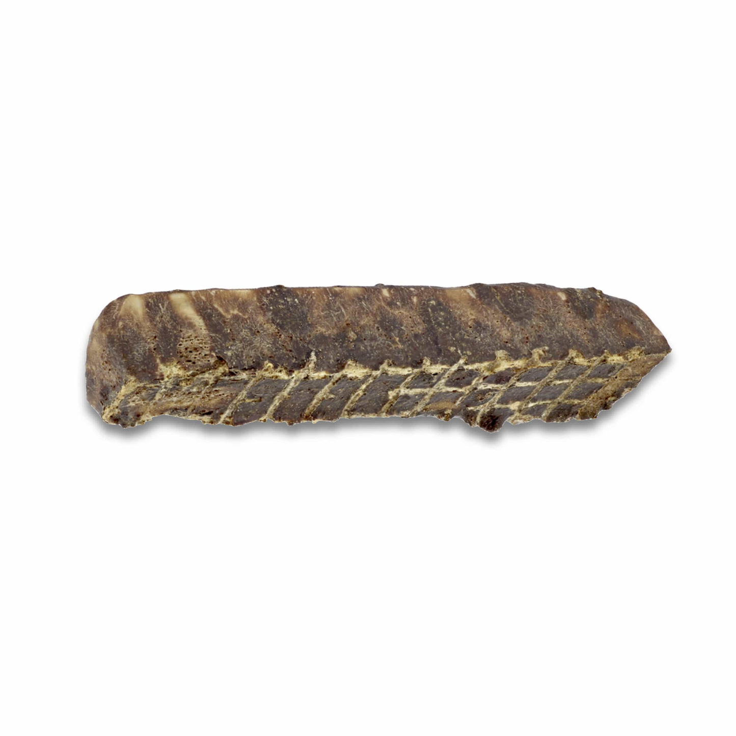 Paws & Co Dipped Split Antler Dog Chew