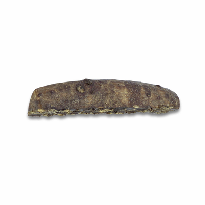 Paws & Co Dipped Split Antler Dog Chew
