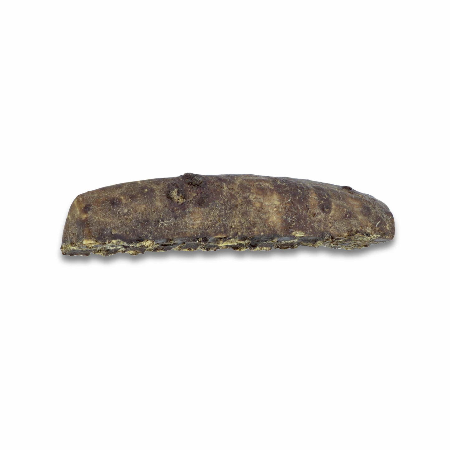Paws & Co Dipped Split Antler Dog Chew