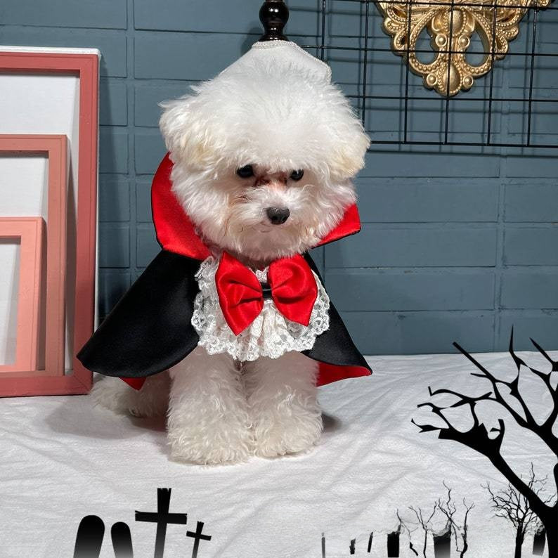 Pet Vampire Cloak Halloween Costume