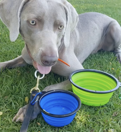 Mr. Peanut's Collapsible Silicone Travel Pet Bowls
