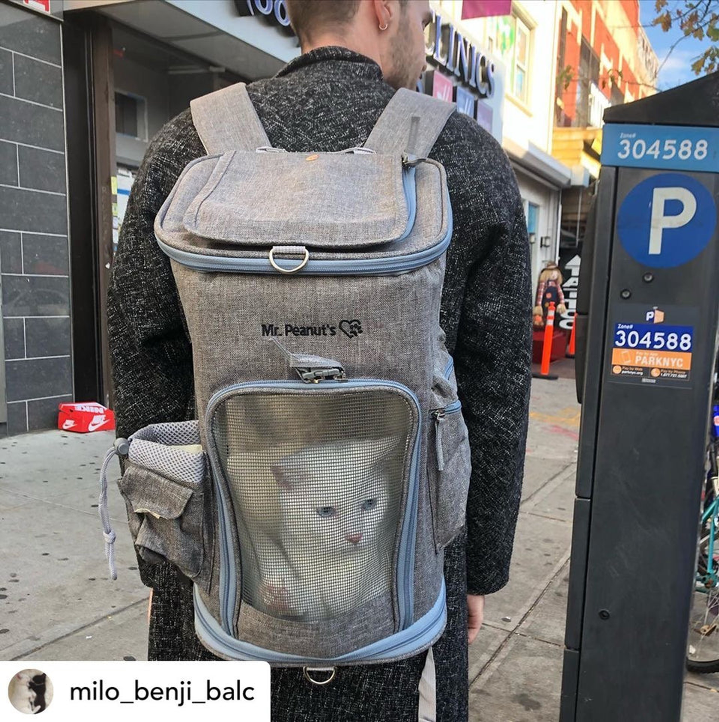 Mr. Peanut's Vancouver Series Backpack Pet Carrier for Cats & Dogs