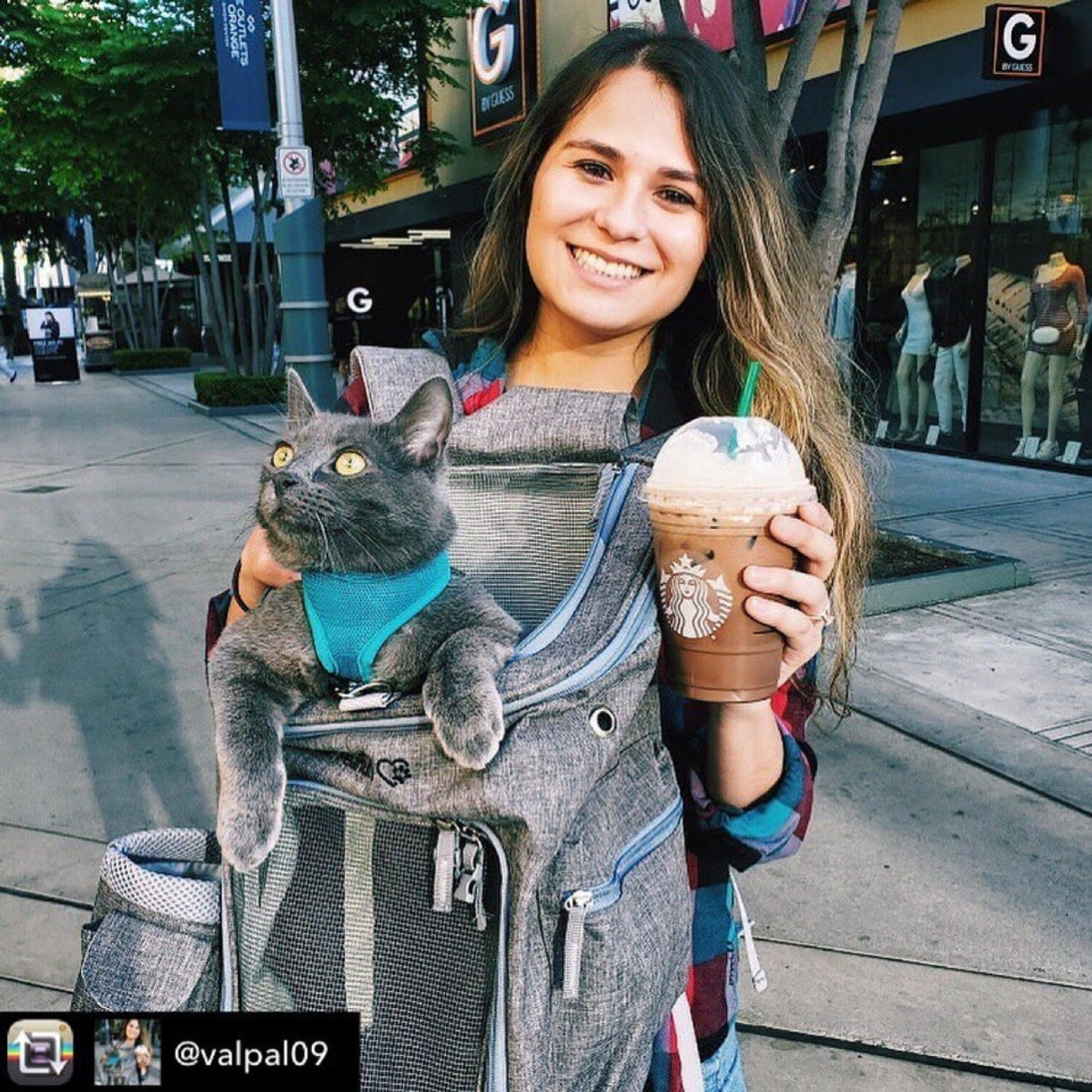 Mr. Peanut's Vancouver Series Backpack Pet Carrier for Cats & Dogs