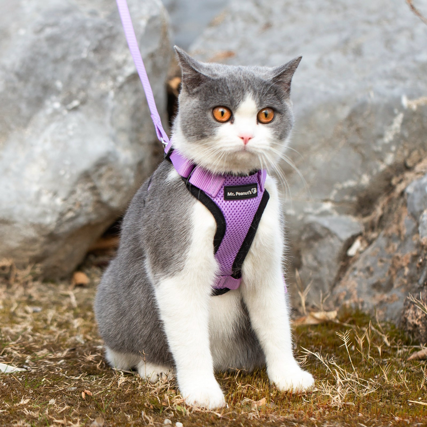 Mr. Peanut's PurrTrek Reflective Cat Harness with Leash