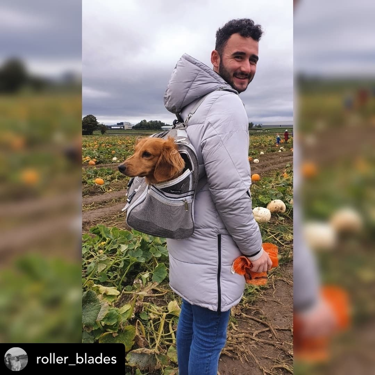 Mr. Peanut's Monterey Series Convertible Backpack Pet Carrier