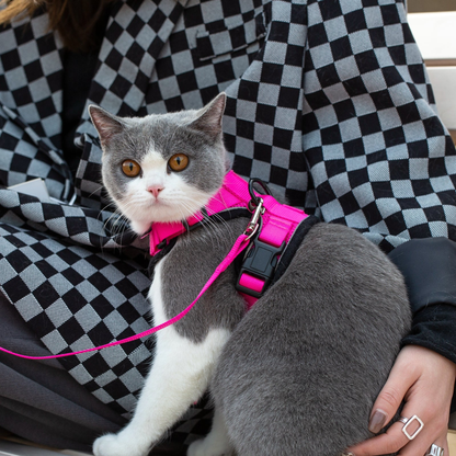 Mr. Peanut's PurrTrek Reflective Cat Harness with Leash