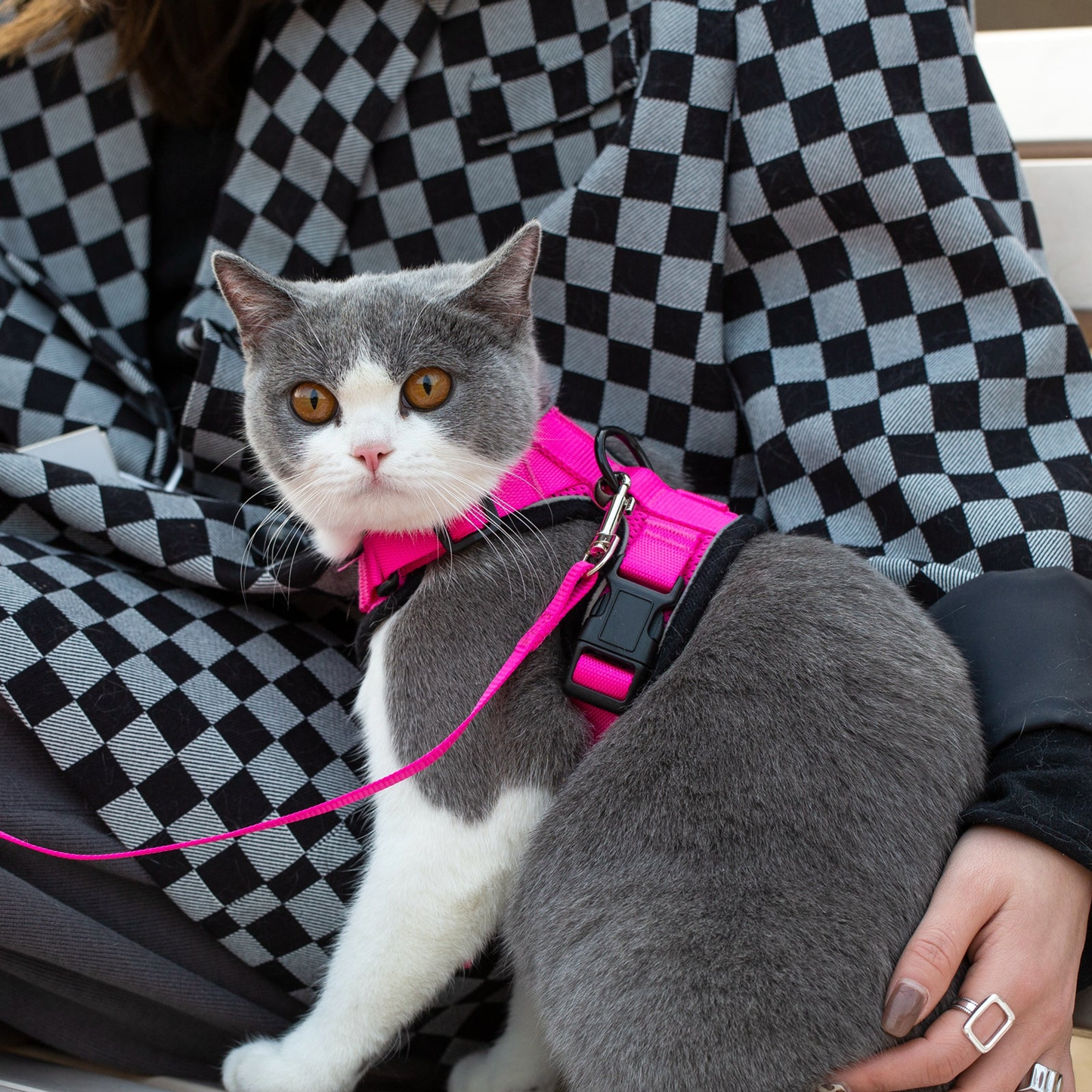 Mr. Peanut's PurrTrek Reflective Cat Harness with Leash
