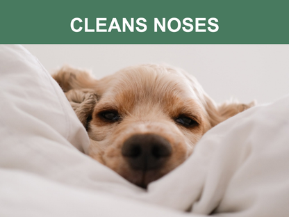 Mr. Peanut's Naturals Pet Wipes, 150 Count